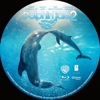 CoverCity - DVD Covers & Labels - Dolphin Tale 2