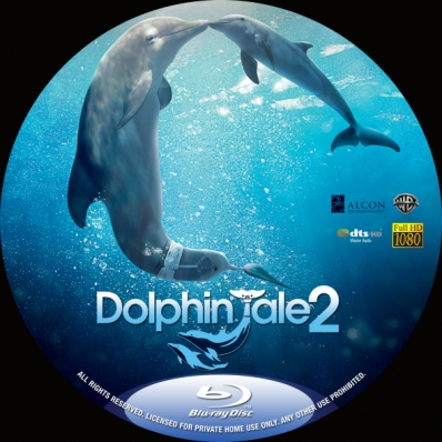 Dolphin Tale 2