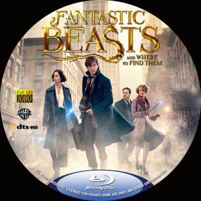 Fantastic Beasts And Where To Find Them