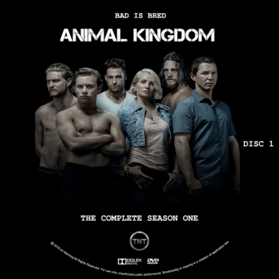 Animal Kingdom - Season 1; disc 1