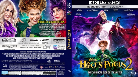 CoverCity - DVD Covers & Labels - Hocus Pocus 2