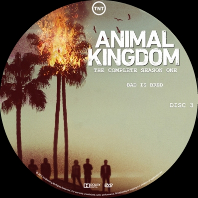 CoverCity - DVD Covers & Labels - Animal Kingdom - Season 1; disc 3