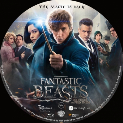 Fantastic Beasts And Where To Find Them