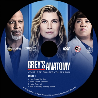 Grey's Anatomy - Season 18; disc 1