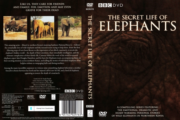 The Secret LIfe Of Elephants