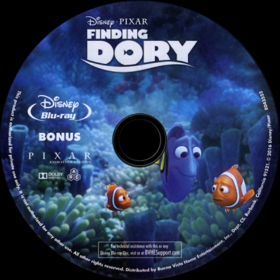 Finding Dory