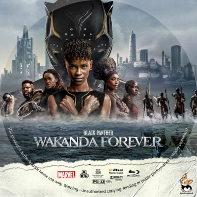 CoverCity - DVD Covers & Labels - Black Panther: Wakanda Forever