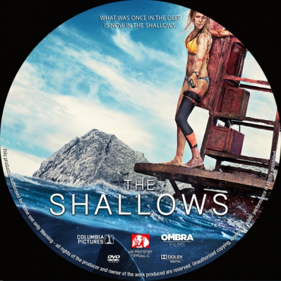 The Shallows