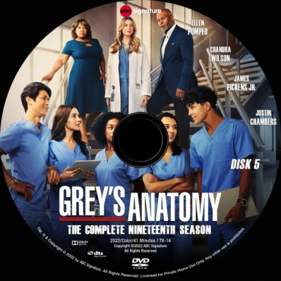 Grey's Anatomy - Season 19; disk 5