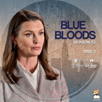 Blue Bloods - Season 13, Disc 3