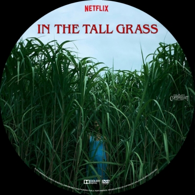 In the Tall Grass