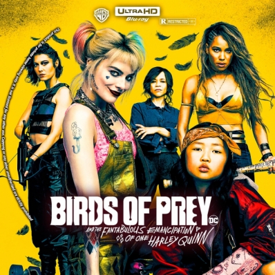 CoverCity - DVD Covers & Labels - Birds of Prey: And the Fantabulous ...