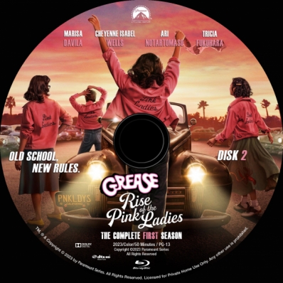 Grease: Rise of the Pink Ladies [DVD]