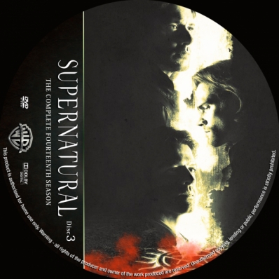 Supernatural - Season 14; disc 3