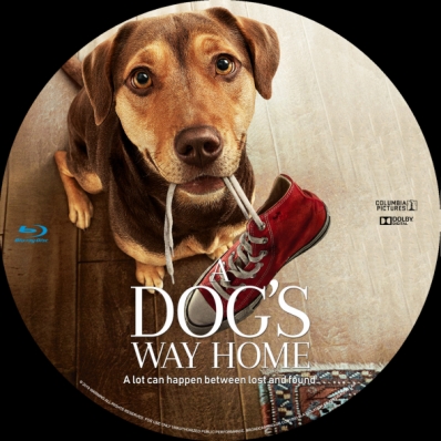 A Dog's Way Home