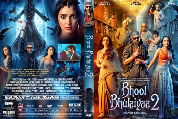 Bhool Bhulaiyaa 2 (2022)