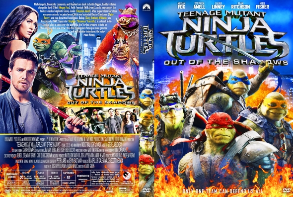 Teenage Mutant Ninja Turtles: Out of the Shadows (DVD)