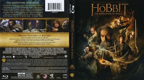 CoverCity - DVD Covers & Labels - The Hobbit: The Desolation of Smaug