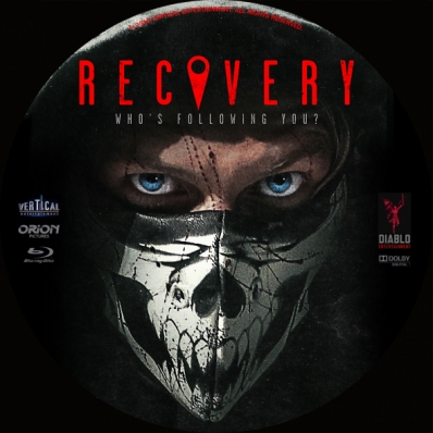 System recovery dvd sled 11 linux что это