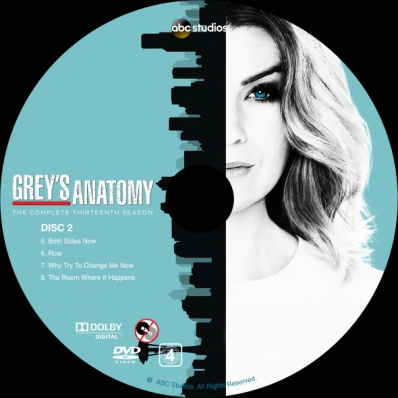 Grey's Anatomy - Season 13; disc 2