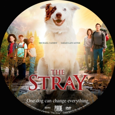 The Stray