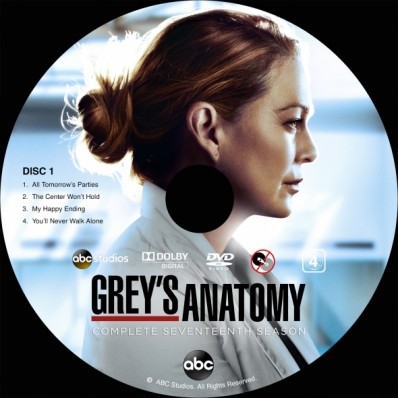 Grey's Anatomy - Season 17; disc 1