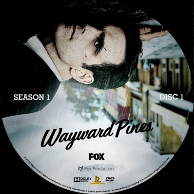 Wayward Pines - Season 1; disc 1