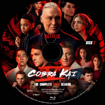 CoverCity - DVD Covers & Labels - Cobra Kai - Season 5; disk 2