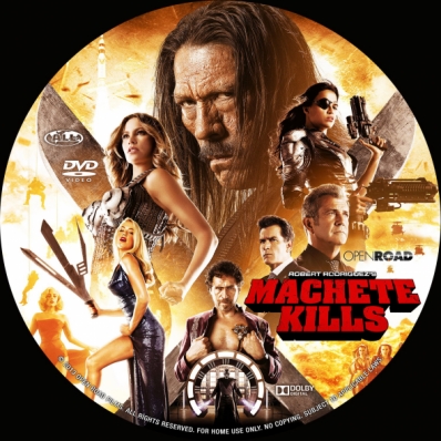 CoverCity - DVD Covers & Labels - Machete Kills