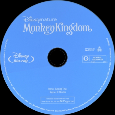 Monkey Kingdom