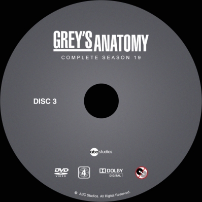 CoverCity - DVD Covers & Labels - Grey's Anatomy - Season 19; disc 3