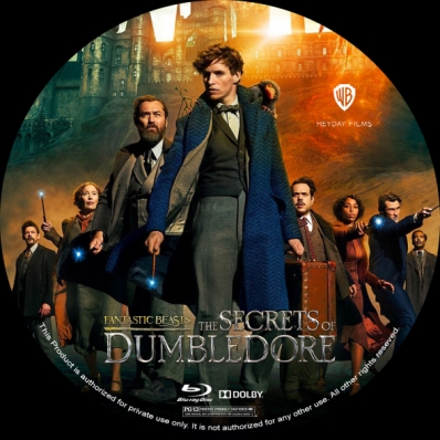 CoverCity - DVD Covers & Labels - Fantastic Beasts: The Secrets Of ...