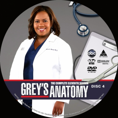 Grey's Anatomy - Season 11; disc 4