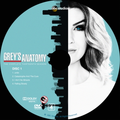 Grey's Anatomy - Season 13; disc 1