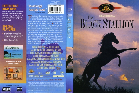 The Black Stallion