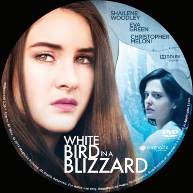 White Bird in a Blizzard