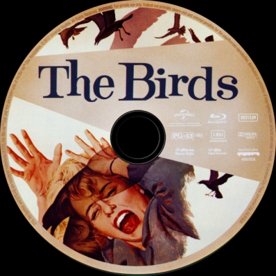 The Birds