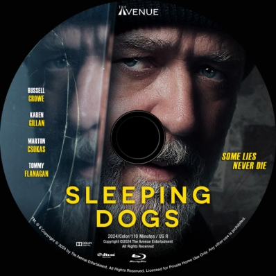 CoverCity - DVD Covers & Labels - Sleeping Dogs