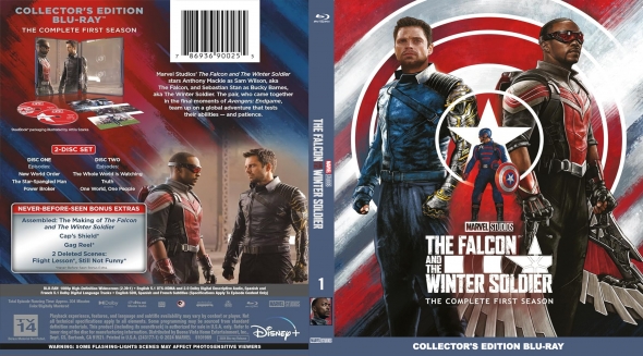 The Falcon and the Winter Soldier