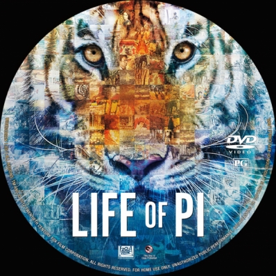 Life Of Pi