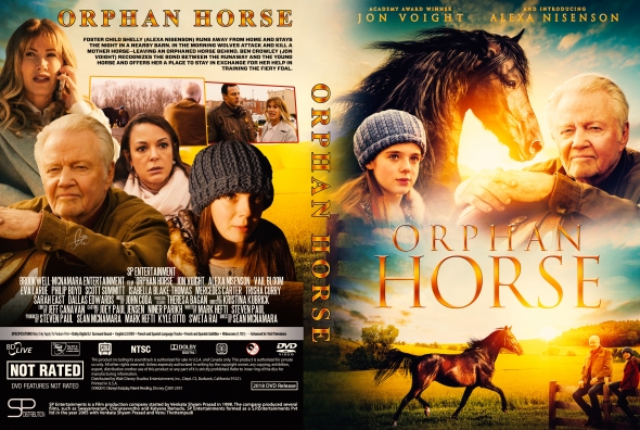 Orphan Horse