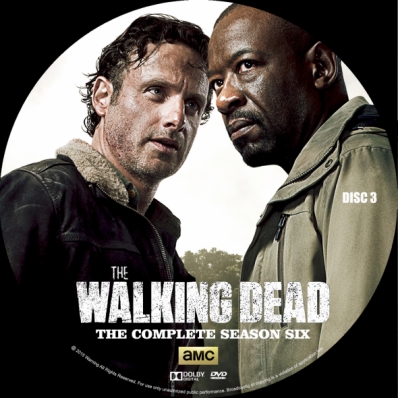 CoverCity - DVD Covers & Labels - The Walking Dead - Season 6; disc 3