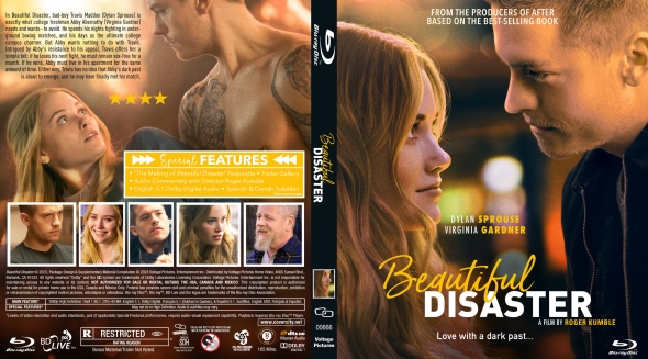 CoverCity DVD Covers Labels Beautiful Disaster