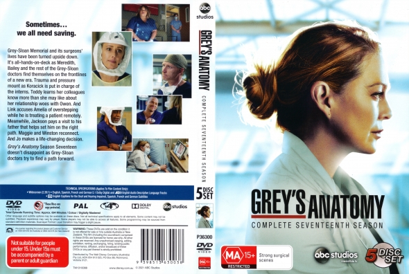 Grey's Anatomy - Season 17