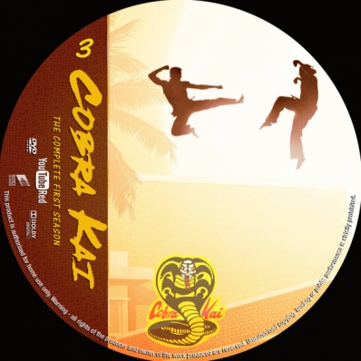 Cobra Kai - Season 1; disc 3