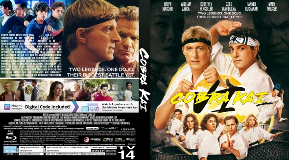 CoverCity - DVD Covers & Labels - Cobra Kai - Season 6