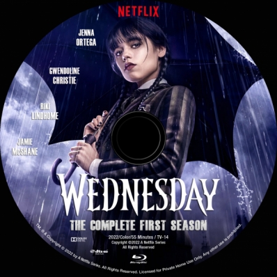 Wednesday - Season 1