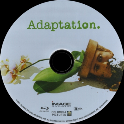 Adaptation