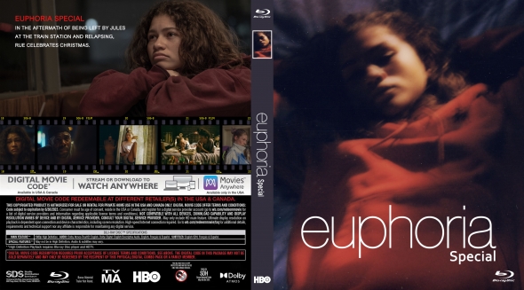 Covercity Dvd Covers Labels Euphoria Special Episode