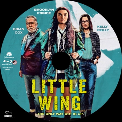 Little Wing